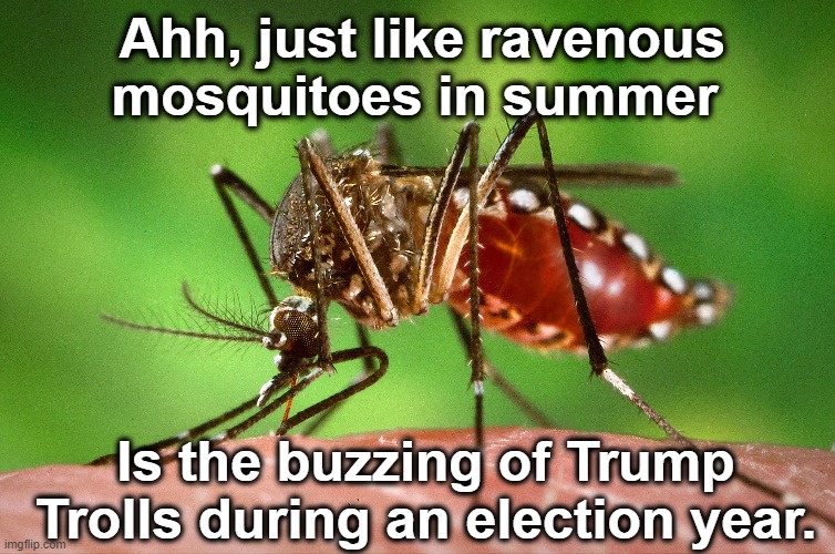 Trumpy Trolls | Ahh, just like ravenous mosquitoes in summer; Is the buzzing of Trump Trolls during an election year. | image tagged in maga,basket of deplorables,right wing,donald trump approves,nevertrump meme,presidential race | made w/ Imgflip meme maker