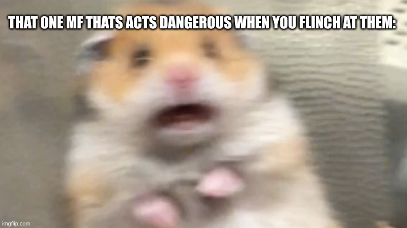 fr tho | THAT ONE MF THATS ACTS DANGEROUS WHEN YOU FLINCH AT THEM: | image tagged in m | made w/ Imgflip meme maker