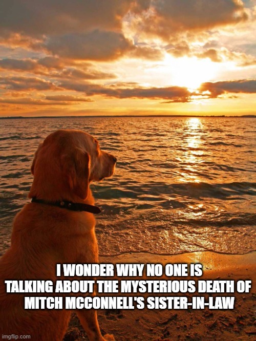 Maybe I Missed Something? | I WONDER WHY NO ONE IS TALKING ABOUT THE MYSTERIOUS DEATH OF 
MITCH MCCONNELL'S SISTER-IN-LAW | image tagged in existential dog | made w/ Imgflip meme maker