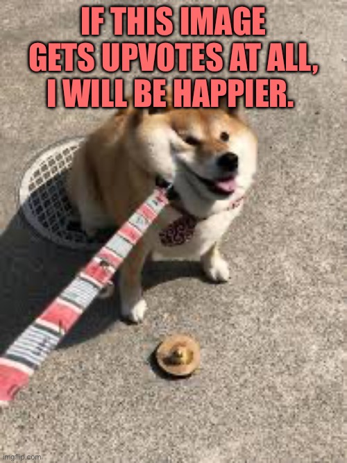 Squishy doggo leash | IF THIS IMAGE GETS UPVOTES AT ALL, I WILL BE HAPPIER. | image tagged in squishy doggo leash | made w/ Imgflip meme maker