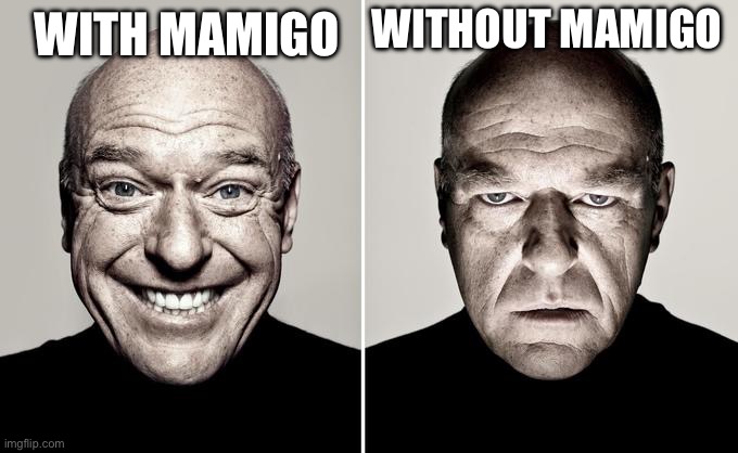 If Dean Norris did dating | WITHOUT MAMIGO; WITH MAMIGO | image tagged in dean norris reaction | made w/ Imgflip meme maker