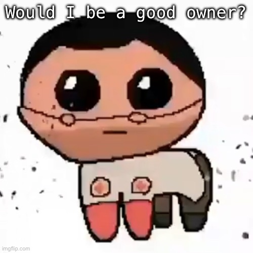 yippee | Would I be a good owner? | image tagged in yippee | made w/ Imgflip meme maker