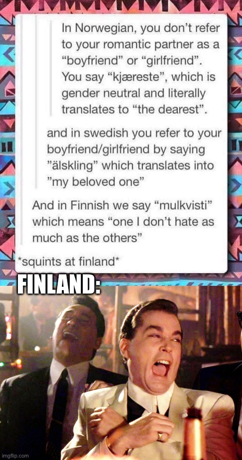 Is this true? | FINLAND: | image tagged in memes,good fellas hilarious,finland,love | made w/ Imgflip meme maker