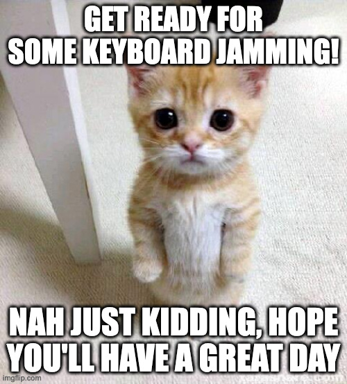 Silly and wholesome cat | GET READY FOR SOME KEYBOARD JAMMING! NAH JUST KIDDING, HOPE YOU'LL HAVE A GREAT DAY | image tagged in memes,cute cat,wholesome | made w/ Imgflip meme maker