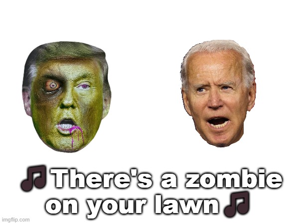 ?There's a zombie
on your lawn? | made w/ Imgflip meme maker