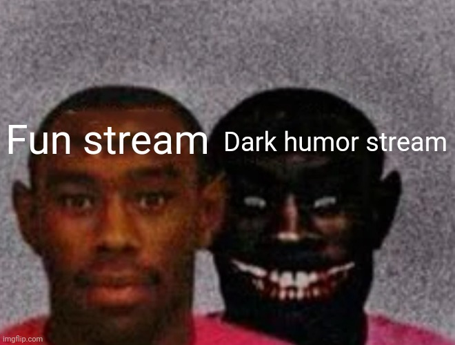 Streams | Fun stream; Dark humor stream | image tagged in good tyler and bad tyler | made w/ Imgflip meme maker