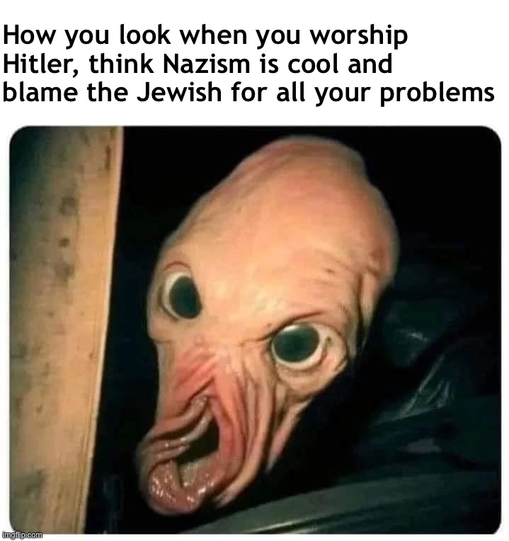How You Look | How you look when you worship Hitler, think Nazism is cool and blame the Jewish for all your problems | image tagged in nazism,nazis,neonazis,racists,racism,antisemitism | made w/ Imgflip meme maker