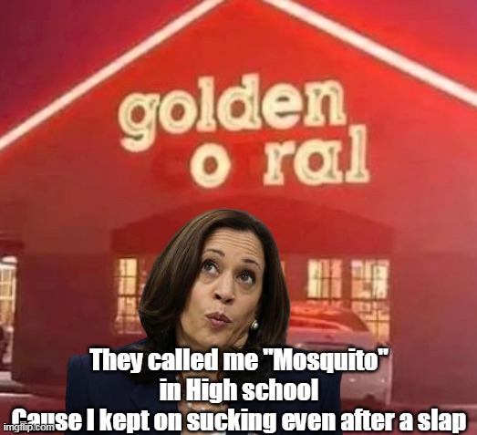 They called me "Mosquito" in High school
Cause I kept on sucking even after a slap | made w/ Imgflip meme maker