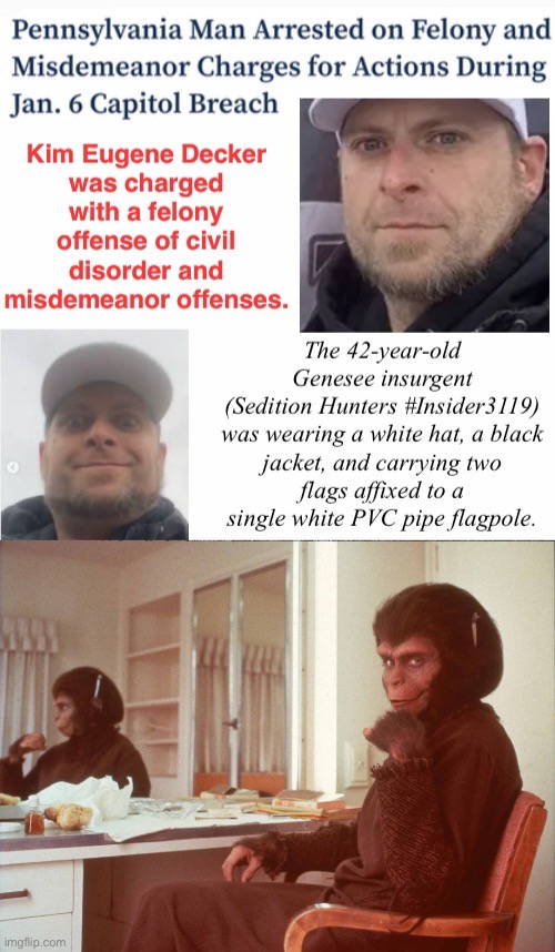 #Insider3119 Arrested | image tagged in domestic terrorist,treason,roddy mcdowall's acting planet partner,traitor,tuff mouse when in crowd | made w/ Imgflip meme maker
