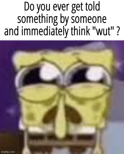Spunchbop all sad n shit | Do you ever get told something by someone and immediately think "wut" ? | image tagged in spunchbop all sad n shit | made w/ Imgflip meme maker