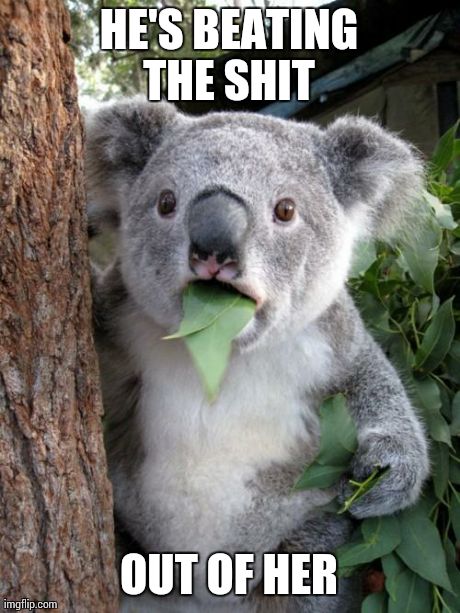 Surprised Koala | HE'S BEATING THE SHIT  OUT OF HER | image tagged in memes,surprised koala | made w/ Imgflip meme maker