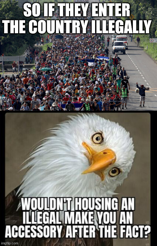 If they want to come, let them come in the front door and go through the same process as everyone else. | SO IF THEY ENTER THE COUNTRY ILLEGALLY | image tagged in migrant caravan,illegal aliens,send them back | made w/ Imgflip meme maker
