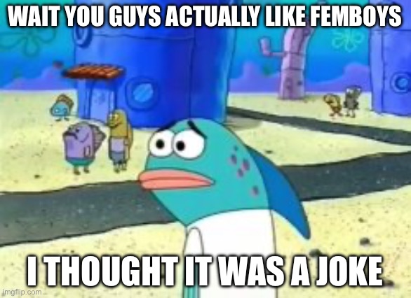 wait you guys actually | WAIT YOU GUYS ACTUALLY LIKE FEMBOYS; I THOUGHT IT WAS A JOKE | image tagged in wait you guys actually | made w/ Imgflip meme maker