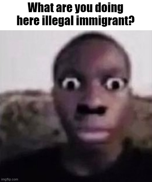 Ayo... | What are you doing here illegal immigrant? | made w/ Imgflip meme maker