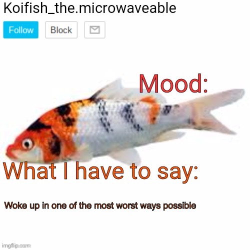 Koifish_the.microwaveable announcement | Woke up in one of the most worst ways possible | image tagged in koifish_the microwaveable announcement | made w/ Imgflip meme maker