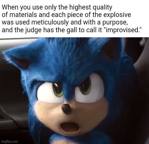 [Clever title here] | When you use only the highest quality of materials and each piece of the explosive was used meticulously and with a purpose, and the judge has the gall to call it "improvised." | image tagged in shocked sonic,bomb | made w/ Imgflip meme maker