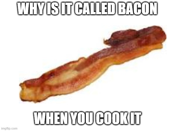 WHY IS IT CALLED BACON; WHEN YOU COOK IT | made w/ Imgflip meme maker