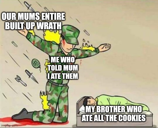 My third meme ever | OUR MUMS ENTIRE BUILT UP WRATH; ME WHO TOLD MUM I ATE THEM; MY BROTHER WHO ATE ALL THE COOKIES | image tagged in soldier protecting sleeping child | made w/ Imgflip meme maker