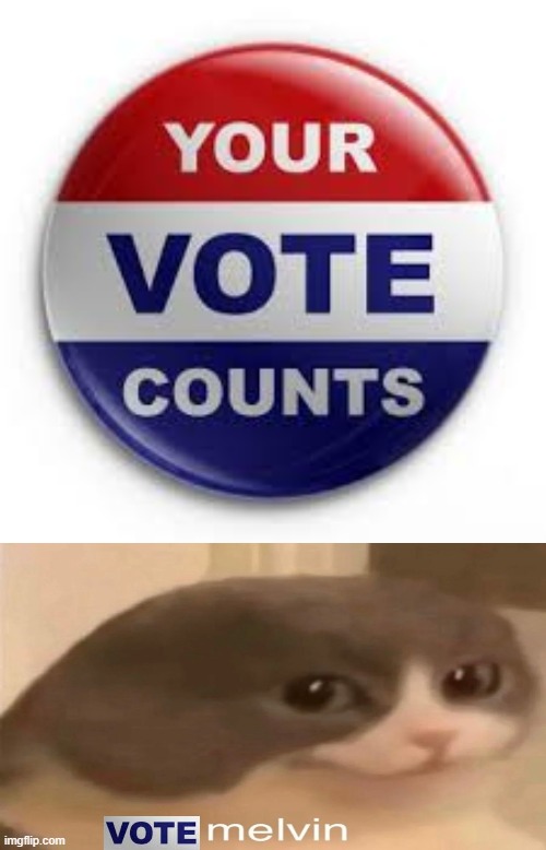 image tagged in vote | made w/ Imgflip meme maker