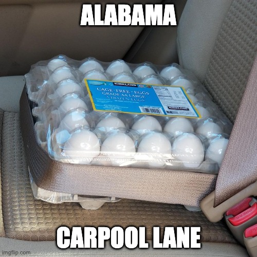 Alabama Carpool Lane | ALABAMA; CARPOOL LANE | image tagged in abortion,personhood,misogyny | made w/ Imgflip meme maker