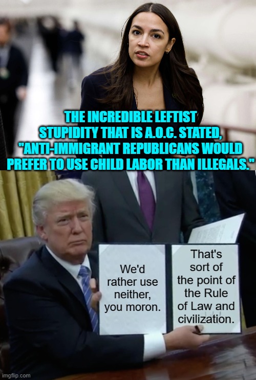So essentially she is excusing the Left flooding this nation with illegals FOR cheap labor. | THE INCREDIBLE LEFTIST STUPIDITY THAT IS A.O.C. STATED, "ANTI-IMMIGRANT REPUBLICANS WOULD PREFER TO USE CHILD LABOR THAN ILLEGALS." | image tagged in yep | made w/ Imgflip meme maker