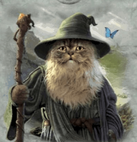 High Quality Gandalf cat Blank Meme Template
