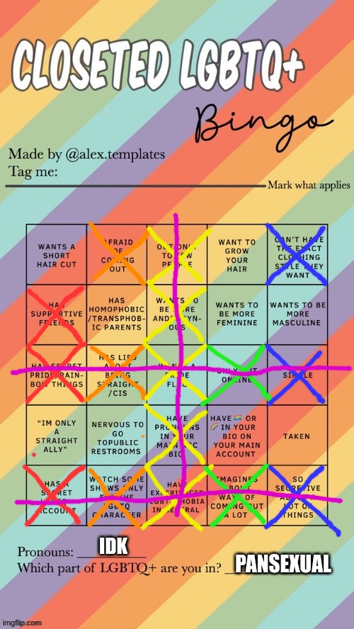 Closeted LGBTQ+ Bingo | IDK; PANSEXUAL | image tagged in closeted lgbtq bingo | made w/ Imgflip meme maker
