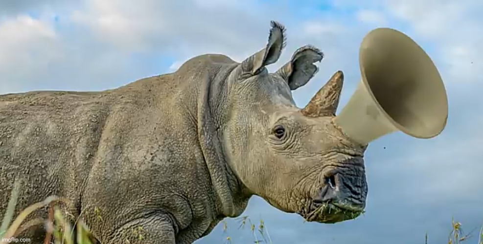 Cursed Rhino.mp3 | made w/ Imgflip meme maker