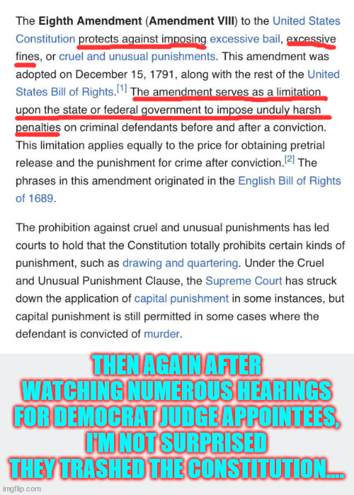 More proof democrats are trashing the Constitution in the name of election interference. | THEN AGAIN AFTER WATCHING NUMEROUS HEARINGS FOR DEMOCRAT JUDGE APPOINTEES, I'M NOT SURPRISED THEY TRASHED THE CONSTITUTION.... | image tagged in democrats,trashing the constitution,cannot beat trump fair and square | made w/ Imgflip meme maker