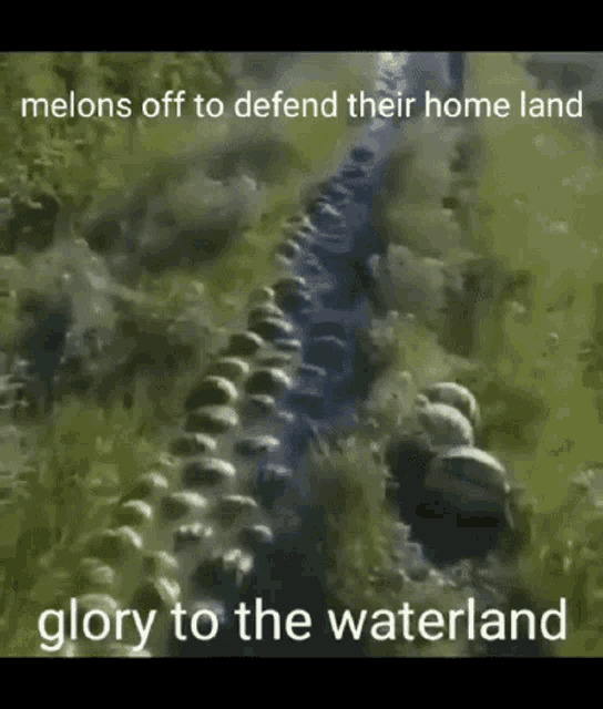 Watermelons off to defend their homeland glory to the waterland Blank Meme Template