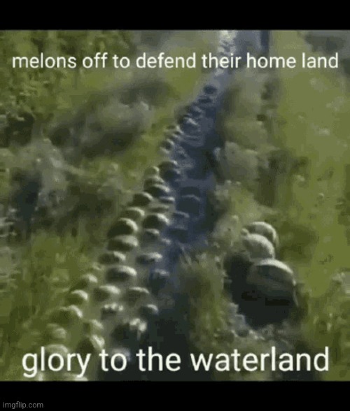Watermelons off to defend their homeland glory to the waterland | image tagged in watermelons off to defend their homeland glory to the waterland | made w/ Imgflip meme maker