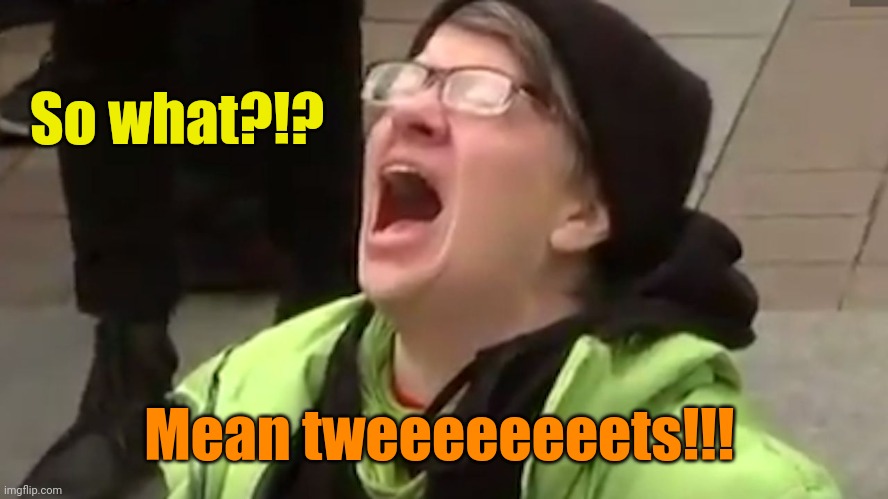 Screaming Liberal  | So what?!? Mean tweeeeeeeets!!! | image tagged in screaming liberal | made w/ Imgflip meme maker