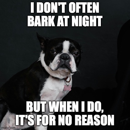 I don't always bark at night | I DON'T OFTEN BARK AT NIGHT; BUT WHEN I DO, IT'S FOR NO REASON | image tagged in dogs | made w/ Imgflip meme maker