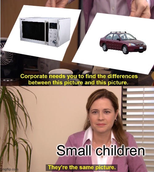 Fastest way to cook a child for s leave them in a parking lot without the windows down | Small children | image tagged in memes,they're the same picture | made w/ Imgflip meme maker