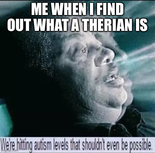we're hitting autism levels that shouldn't even be possible | ME WHEN I FIND OUT WHAT A THERIAN IS | image tagged in we're hitting autism levels that shouldn't even be possible | made w/ Imgflip meme maker