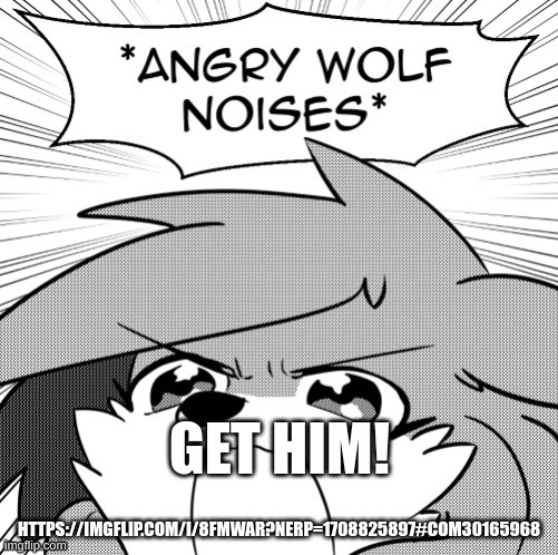 Angry wolf noises | HTTPS://IMGFLIP.COM/I/8FMWAR?NERP=1708825897#COM30165968; GET HIM! | image tagged in angry wolf noises | made w/ Imgflip meme maker