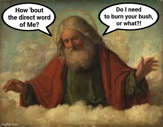 god | How 'bout
the direct word
of Me? Do I need
to burn your bush,
or what?! | image tagged in god | made w/ Imgflip meme maker
