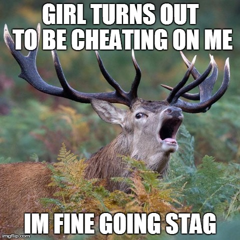 GIRL TURNS OUT TO BE CHEATING ON ME IM FINE GOING STAG | image tagged in going stag stag,AdviceAnimals | made w/ Imgflip meme maker