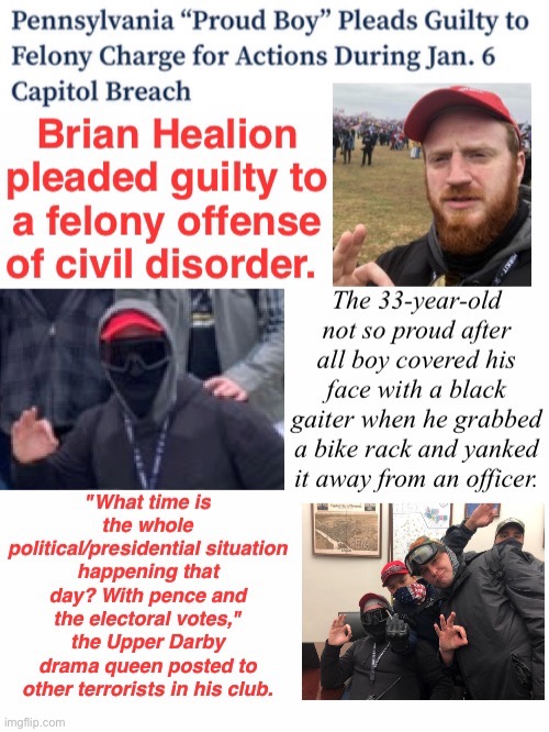 So Proud He Covered His Mug With A Gaiter | image tagged in domestic terrorist,treason,tuff mouse when in a crowd,loud and cowed | made w/ Imgflip meme maker