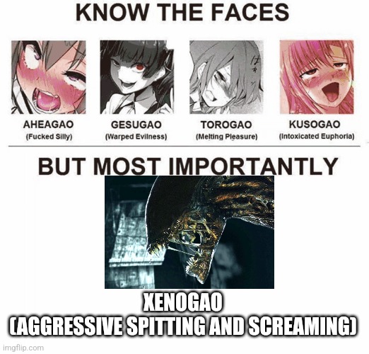 types of gao | XENOGAO
(AGGRESSIVE SPITTING AND SCREAMING) | image tagged in types of gao | made w/ Imgflip meme maker
