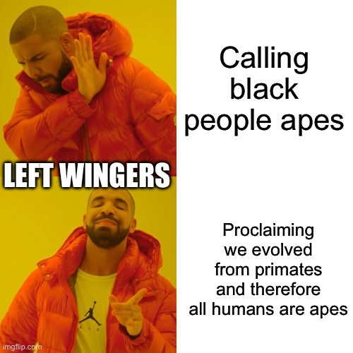 Liberal Doublethink | Calling black people apes; LEFT WINGERS; Proclaiming we evolved from primates and therefore all humans are apes | image tagged in memes,drake hotline bling | made w/ Imgflip meme maker