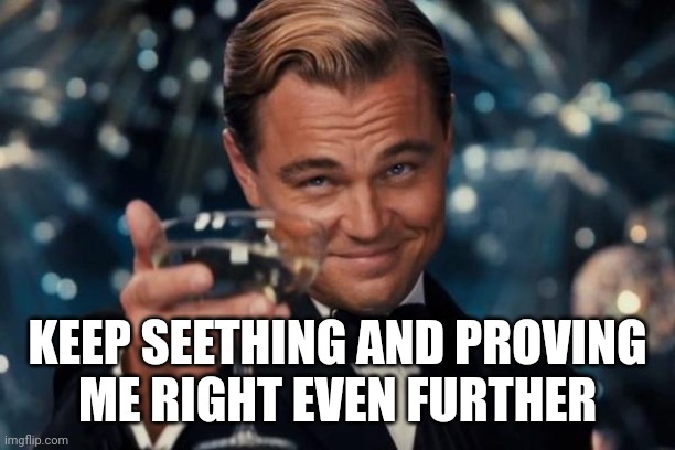 KEEP SEETHING AND PROVING
ME RIGHT EVEN FURTHER | image tagged in memes,leonardo dicaprio cheers | made w/ Imgflip meme maker