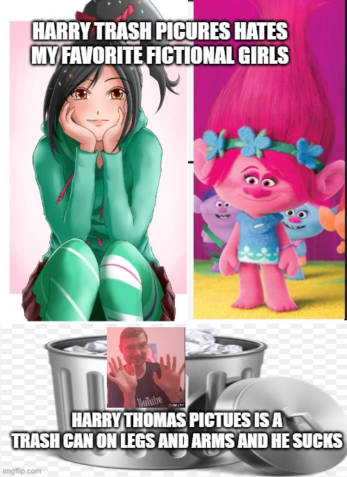 HARRY TRASH PICTURES IS BASICALLY A TRASH CAN | HARRY TRASH PICURES HATES MY FAVORITE FICTIONAL GIRLS; HARRY THOMAS PICTUES IS A TRASH CAN ON LEGS AND ARMS AND HE SUCKS | image tagged in funny | made w/ Imgflip meme maker