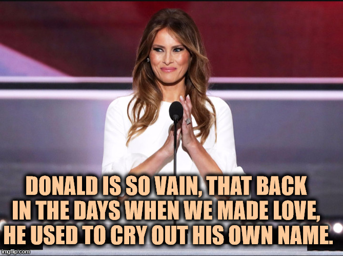 Melania finally spills. | DONALD IS SO VAIN, THAT BACK 
IN THE DAYS WHEN WE MADE LOVE, 
HE USED TO CRY OUT HIS OWN NAME. | image tagged in melania trump meme,donald trump,narcissist,vanity | made w/ Imgflip meme maker