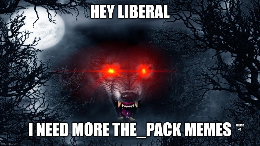 HEY LIBERAL; I NEED MORE THE_PACK MEMES; PLEASE <3 | made w/ Imgflip meme maker
