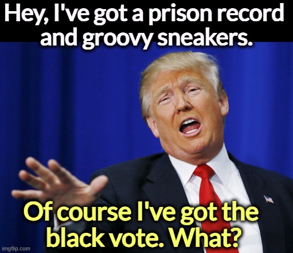 Groovy? GROOVY? Really? Who's gonna tell him? | Hey, I've got a prison record 
and groovy sneakers. Of course I've got the 
black vote. What? | image tagged in trump mic drop,trump,racist,prison,felony,delusional | made w/ Imgflip meme maker