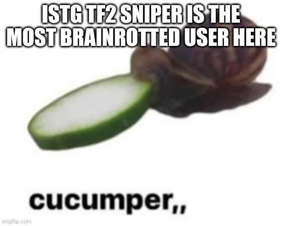 And that's coming from someone with a brain the size of a baked bean | ISTG TF2 SNIPER IS THE MOST BRAINROTTED USER HERE | image tagged in cucumper | made w/ Imgflip meme maker