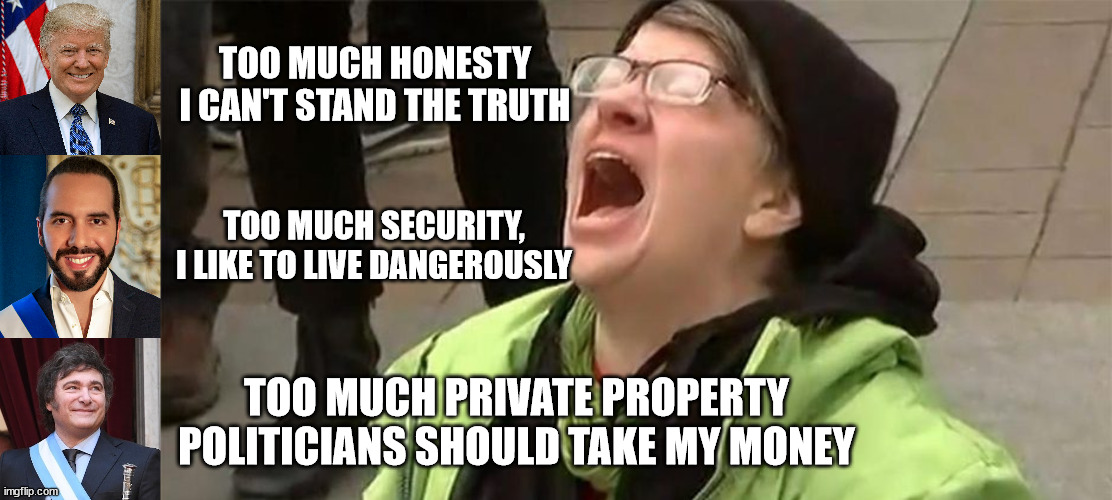 Don't lie, don't kill, don't steal | TOO MUCH HONESTY
I CAN'T STAND THE TRUTH; TOO MUCH SECURITY,
I LIKE TO LIVE DANGEROUSLY; TOO MUCH PRIVATE PROPERTY
POLITICIANS SHOULD TAKE MY MONEY | image tagged in crying liberal,politics,memes,socialism | made w/ Imgflip meme maker