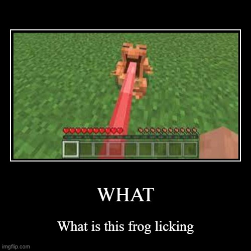 ayo? | WHAT | What is this frog licking | image tagged in funny,demotivationals | made w/ Imgflip demotivational maker