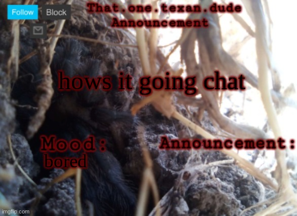 THE that.one.texan.dude announcement template | hows it going chat; bored | image tagged in the that one texan dude announcement template | made w/ Imgflip meme maker